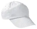 GOVAPROBL.webp