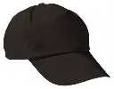 GOVAPRONG.webp