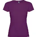 p_6627_71_1_1.webp